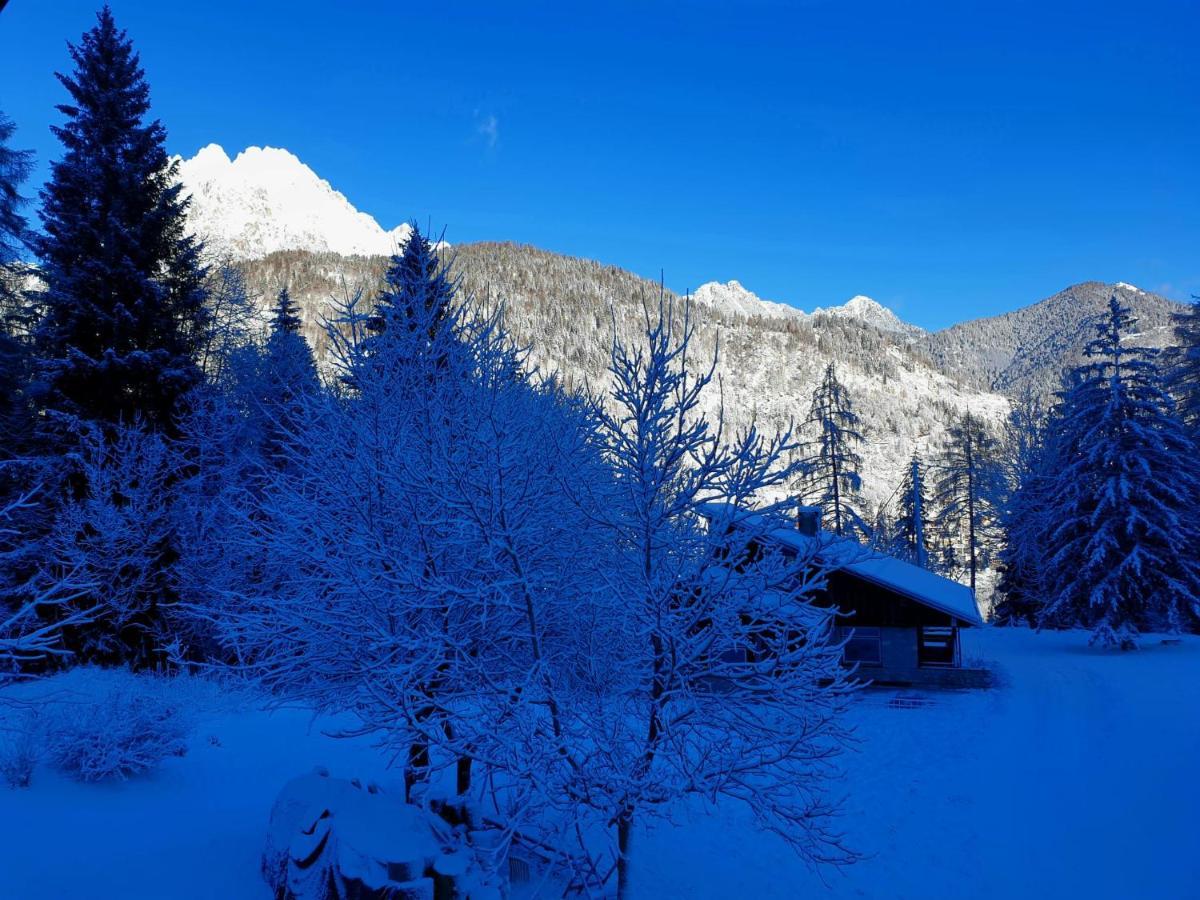 Apartmán Ciasa De Milu Cibiana Exteriér fotografie